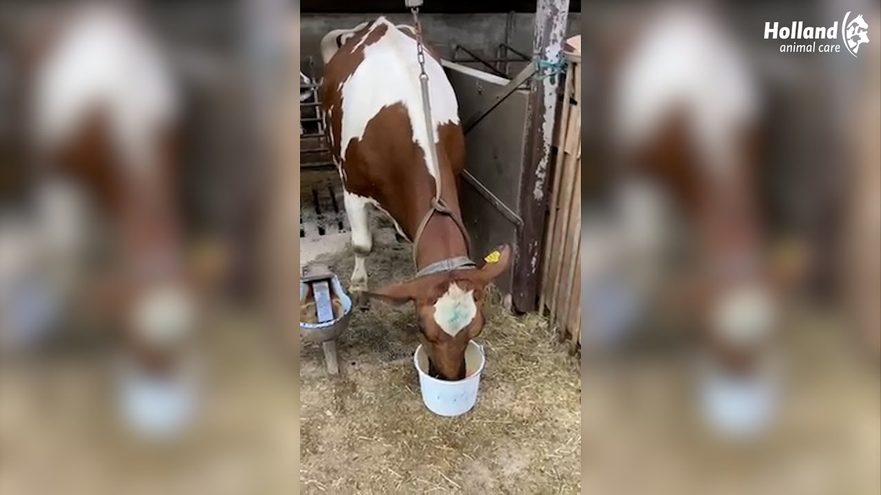 NOCTA Fleece CS Hoodie